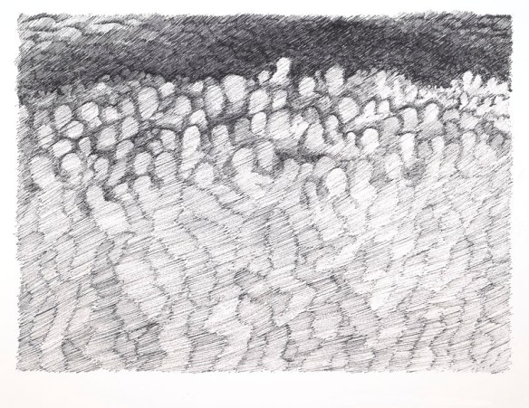 La Marcha Inexorable